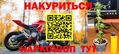 дживик Шебекино