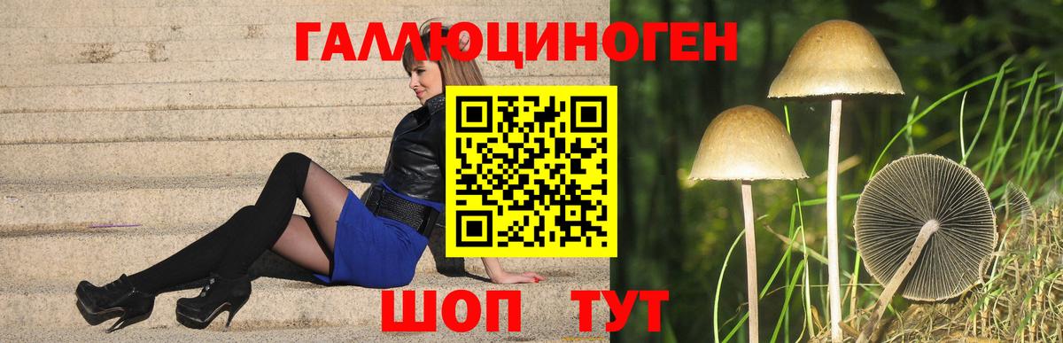 Галлюциногенные грибы ЛСД  Псилоцибиновые грибы ЛСД  Вход с VPN  Видное 